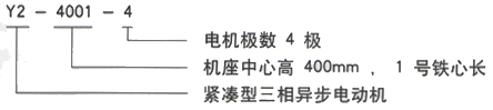 YR系列(H355-1000)高压ZSN4-250-31B三相异步电机西安西玛电机型号说明